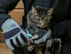 Scratch Protection Leather Gloves | Long Cuff | Thick Leather | Animal Handling, Pet Grooming & Wildlife Safety
