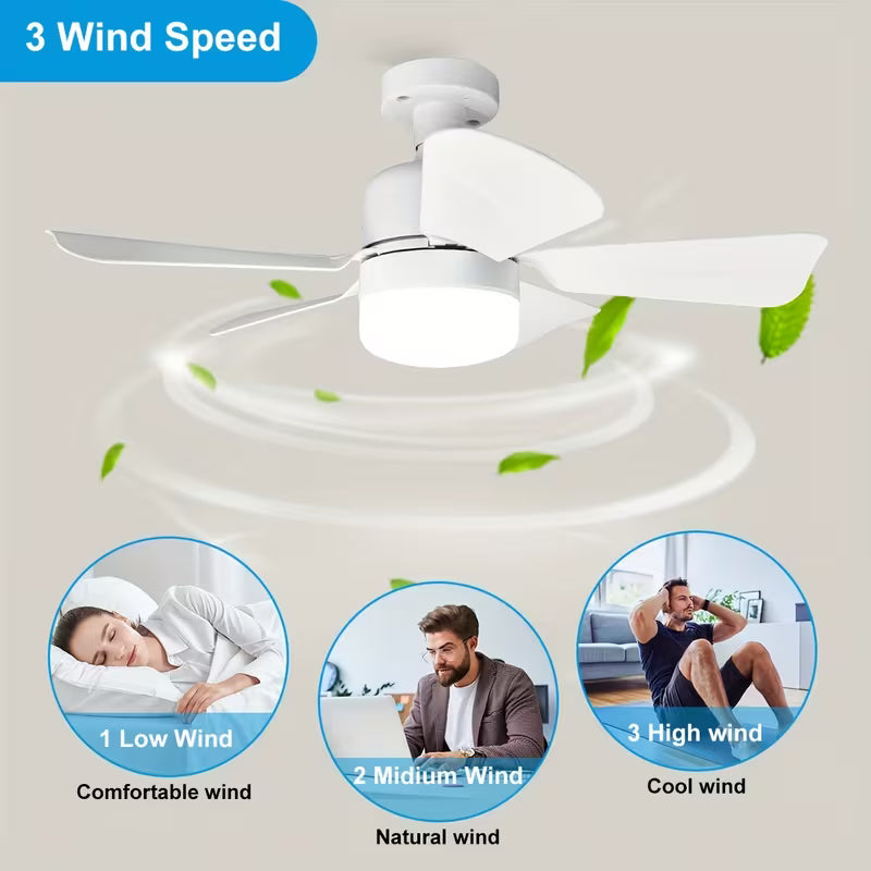 Small Socket Fan Light with Remote Control