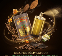 CIGAR Eau De Toilette Natural Spray | 100ml Classic French Fragrance for Men