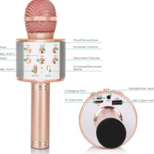 5-In-1 Portable Handheld Karaoke Mic