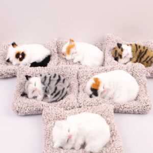 Sleeping Cute Cat with Activated Carbon – Car Dashboard & Home Décor