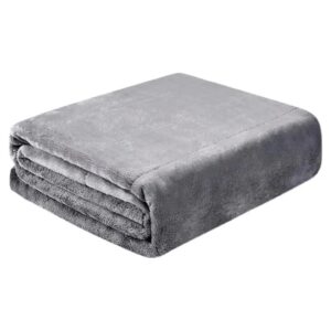 Electric Heated Plush Blanket