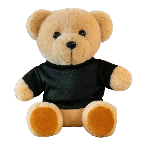 Keychain Plushes With T Shirts