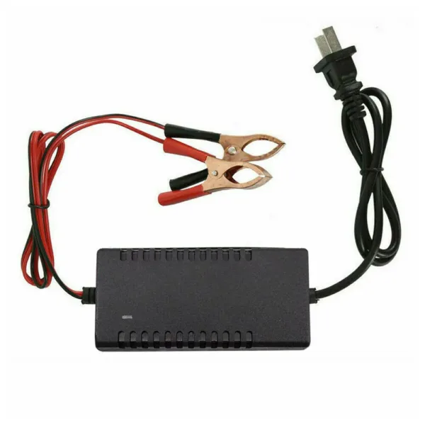 12V Universal Smart Battery Charger and Maintainer